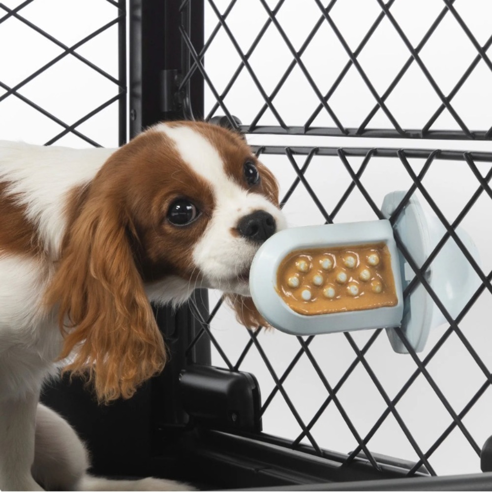 Diggs Groov Training Aid for crate training in ice blue